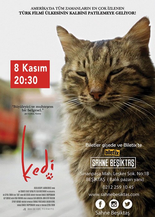 Kedilerin belgeseli, hayvanlara fayda sağlayacak KültürSanat haberleri