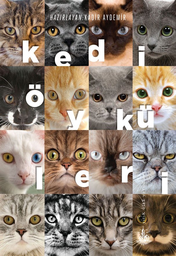 44 yazardan kedi öyküleri! KültürSanat haberleri