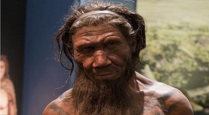 Sandığımızdan daha çok neandertalmişiz