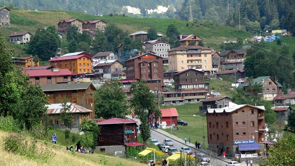 Karadeniz’de geleneksel arıcılık tükenmek üzere