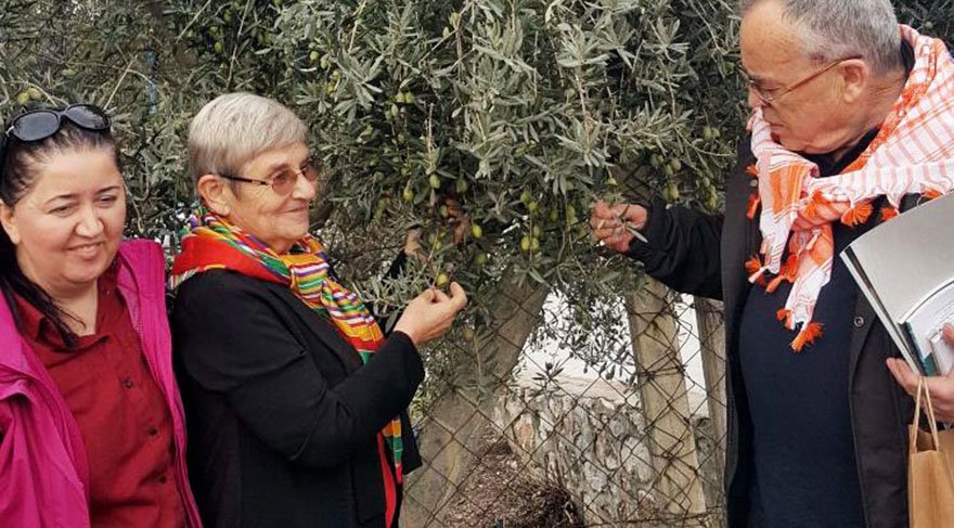 Canan Karatay’dan ‘Zeytinyağı için’ tavsiyesi