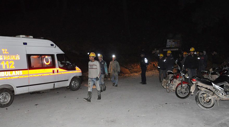 Müzenin yıllardır fotoğrafçılığını üstlenen Chip Clark‘ın arşivi de en az müzenin gezilebilen kısmı kadar ilgi çekici.