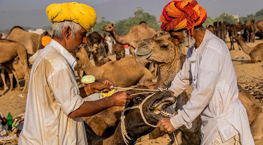 Hinduizm dininin en önemli bayramlarından Poornima’nın yapıldığı Pushkar Gölü’nün de bu bölgede bulunması ve bayram zamanı ile son festival gününün çakışması; Pushkar Deve Festivali’ne ayrı bir manevi boyut katıyor.