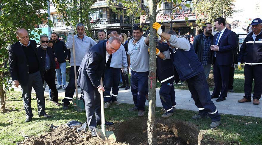 Kadıköy Belediyesi fırtınanın yıktığı ağaçların yerine yenilerini dikti