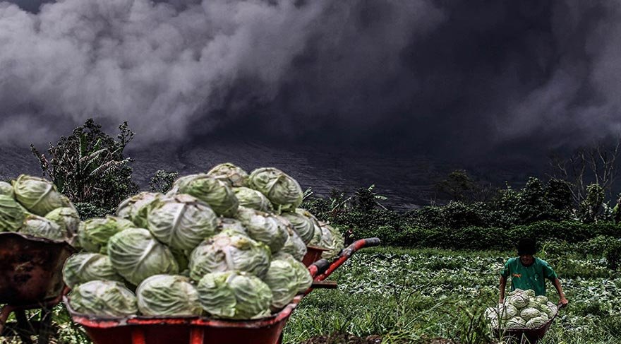 Sinabung Yanardağı çevre köylere zarar vermeye başladı