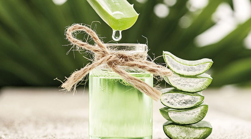 aloe-vera