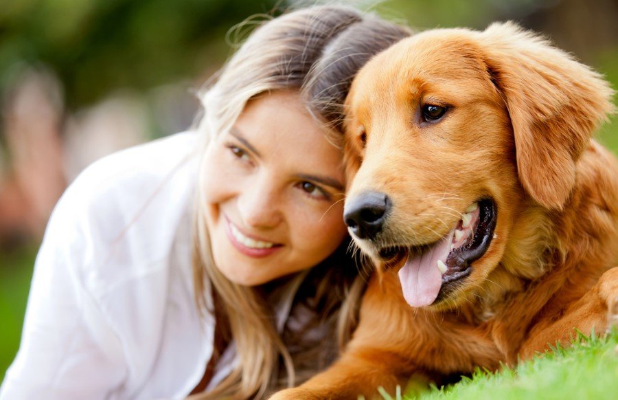 Köpekler siyah beyaz görür.HAYIR! </br>Köpekler üst tarafta gördüğünüz yani bizim gibi renkli görür fakat göz yapılarından dolayı bizim kadar parlak göremez renkleri.