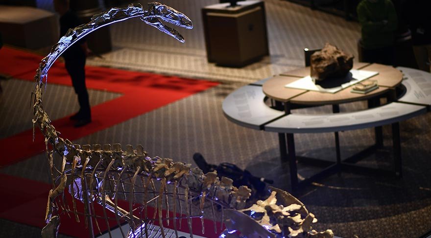 Plateosaurus cinsi dinozora Ben ismi verildi.