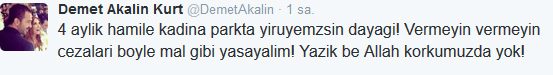 demet-ic
