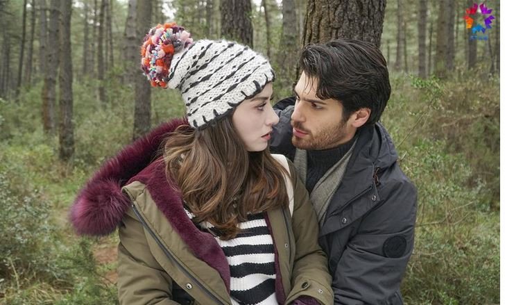 dolunay-dizi