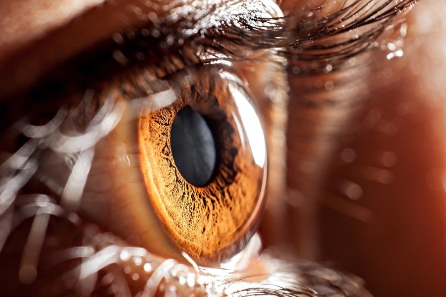 Kişide ne kadar çok melanin varsa, beyin o kadar çabuk çalışabilir. 'Personality and Individual Differences' adlı dergide yer alan bir çalışmaya göre de; çok koyu renkli gözlü kişilerin daha açık renk gözlülere kıyasla daha az içki içtiği belirtiliyor. Koyu renk gözlüler, masa tenisi gibi hedef vuran sporlarda daha başarılı.