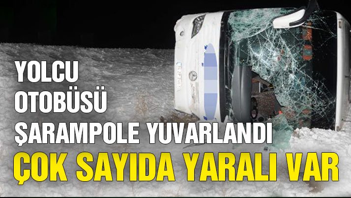 İngiltere’de bir çift halk otobüsünde cinsel ilişkiye girdi, yolcular şoke oldu