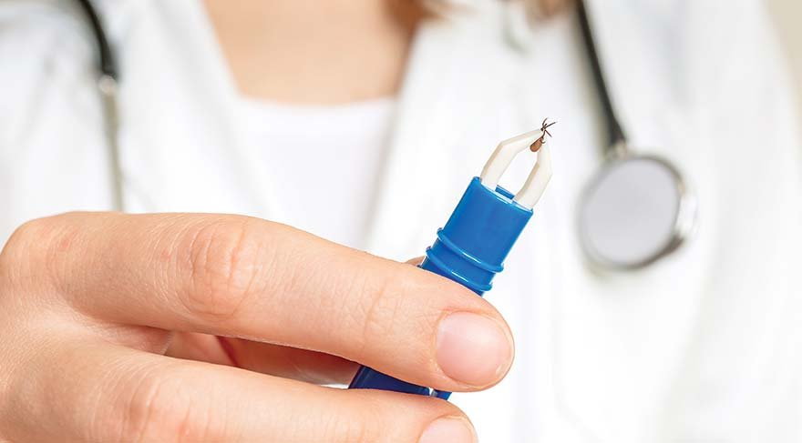 İçimizdeki sessiz katil Lyme