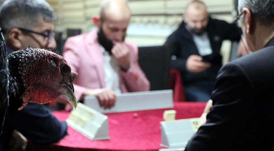 Geleneksel ‘Baba Hindi’li okey turnuvası