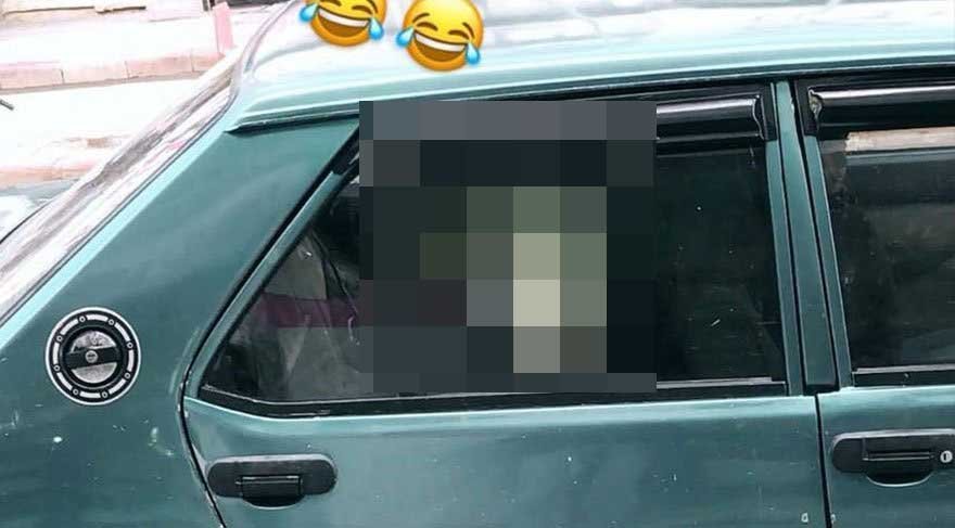 Otomobilin arka koltuğuna inek yavrusu bindirdi