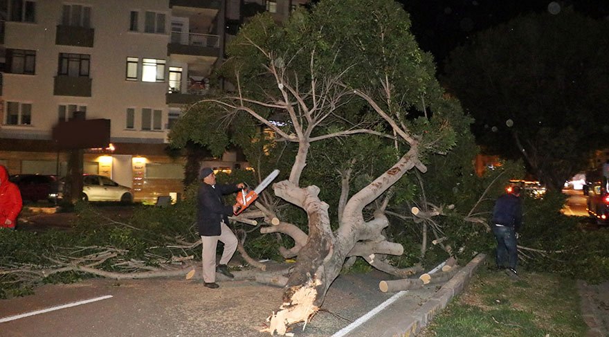 Siddetli Ruzgar Agaclari Kokunden Soktu Son Dakika Haberleri