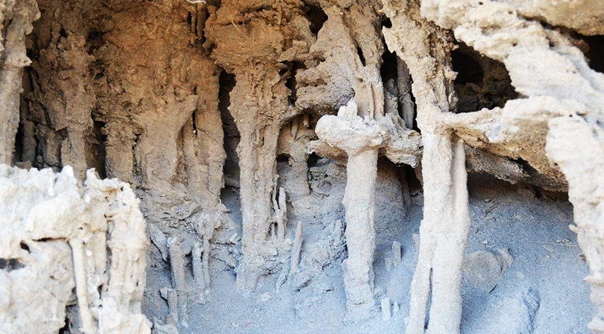 Adilcevaz’da mikrobiyalitler turizme kazandırılacak