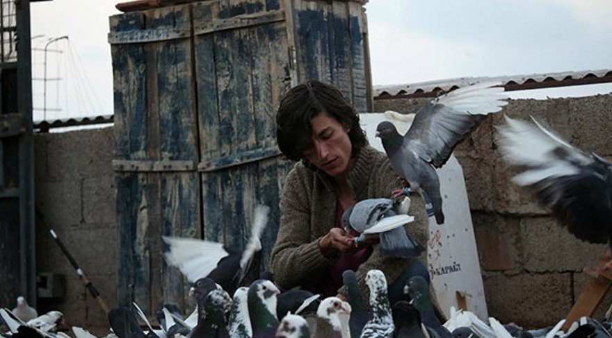 Türkiye’nin Güvercin’i Berlin’e kanat çırpıyor!