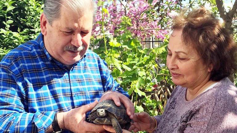 Çöpe atılan kaplumbağayı, sanatçı Numan Pekdemir kurtardı