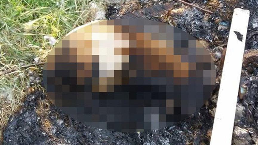 Köpek yavrusunu, döverek ve yakarak öldürdüler
