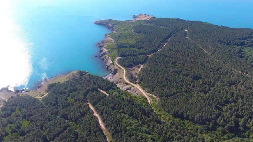 ‘Sinop Nükleer Santrali hamsinin huzurunu kaçıracak’