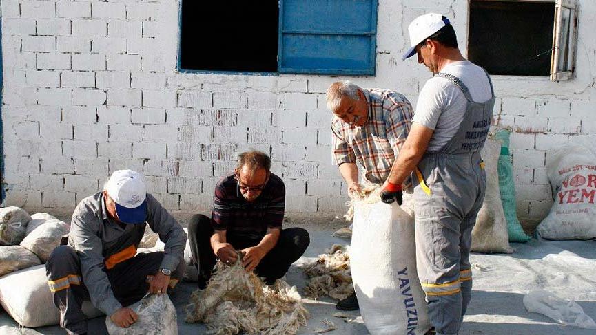 Tiftik, tarihinde en yüksek fiyatı gördü