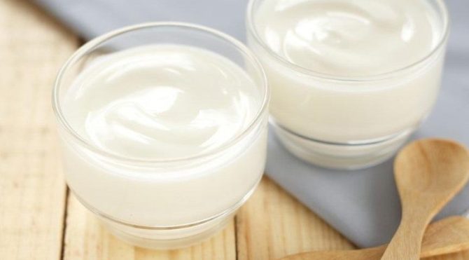 evde yogurt nasil yapilir iste evde yogurt yapimi tarifi ve kalori miktari yemek tarifleri