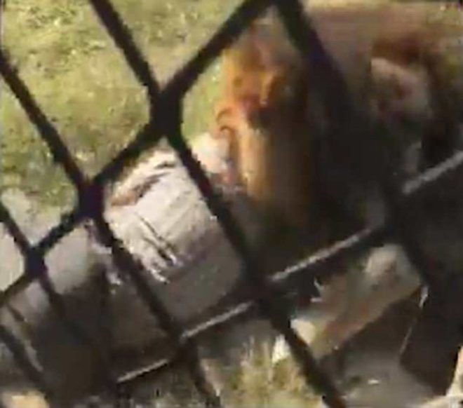 aslan-video-1