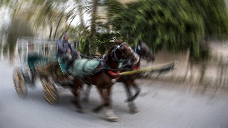Faytona koşulan at aşırı sıcaktan yere yığıldı