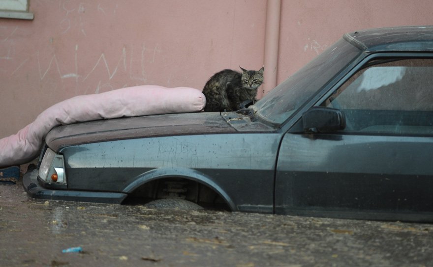 Foto: İHA
