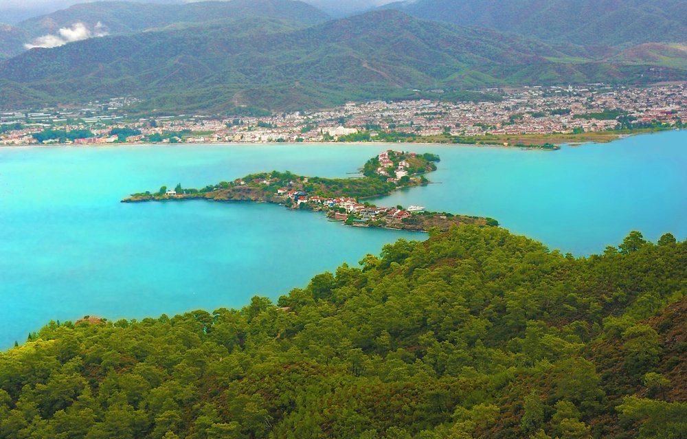 shutterstock_1099879796