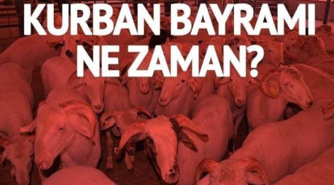 Kurban Bayramı ne zaman? Kurban Bayramı'nda 9 gün tatil mi? Diyanet işleri kurban fiyatlarını açıkladı!