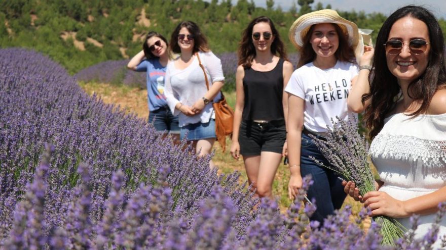 Türkiye’nin yeni gözdesi lavanta ve Salda