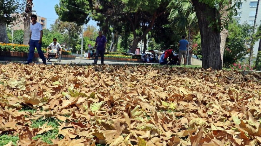 Antalya’da aşırı sıcakla gelen sonbahar