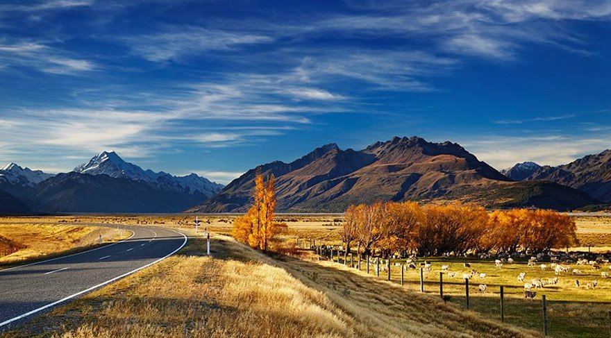 Tek başına gözlem yapmaktan hoşlanan amatör astronomlar, gece bu bölgede gözlem yapmak için genelde dağlık bir alanı kaplayan Aoraki Mount Cook Ulusal Parkı'nı tercih ediyor. Hatta buzul gölü Tekapo çevresi, o kadar açık ve karanlık oluyor ki uzak mesafedeki Macellan Bulutları bile yıl boyunca rahatlıkla gözlemlenebiliyor.