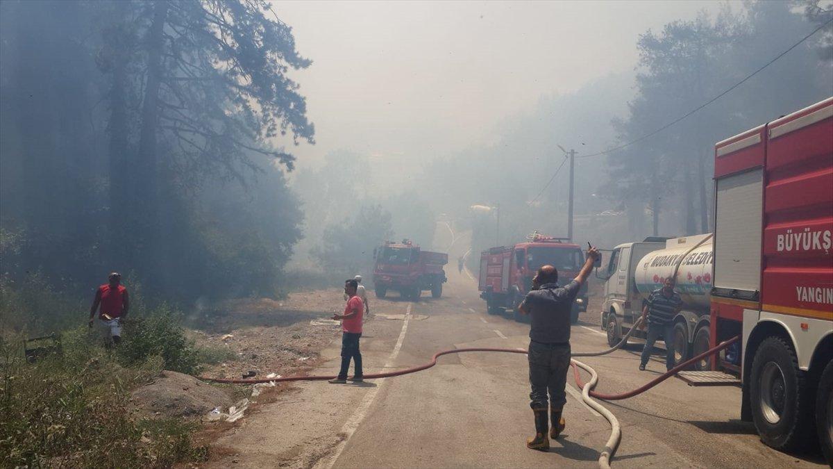 Bursa'da orman yangını! Dumanlar karayolunu kapladı
