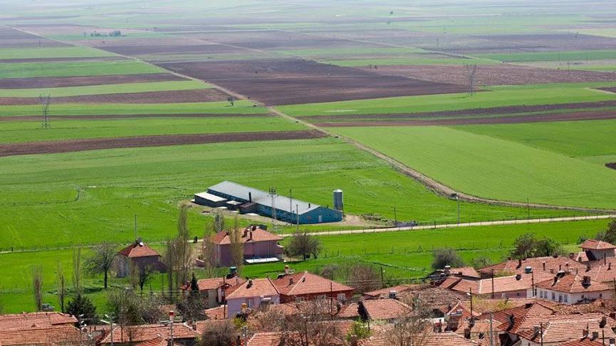 Greenpeace’den dikkat çeken Alpu raporu