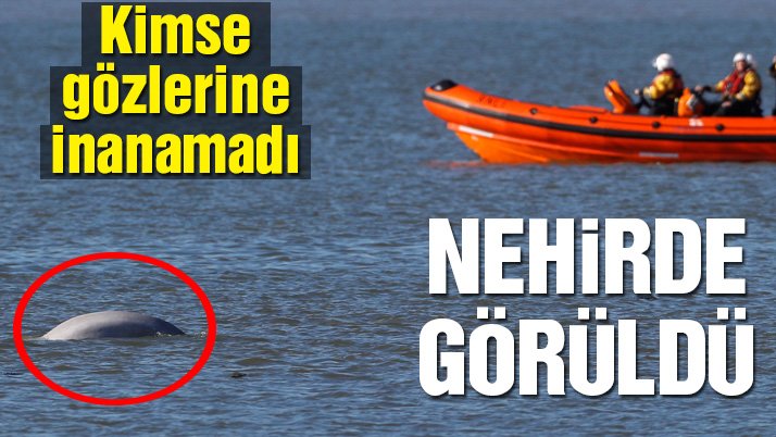 Karbüratör K-151in kendi elleriyle ayarlanması: ayrıntılı açıklama 31
