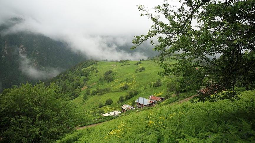 Rize’de aranan 11 Ayder Yaylası bulundu