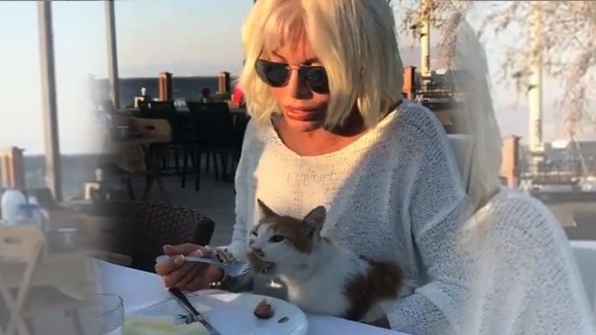 Ajda Pekkan’ın hayvan sevgisi: Sabah kedi besledi akşam köpekle ilgilendi…