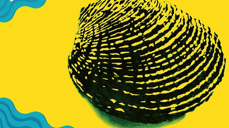 Başka Sinema 5. yılını Ayvalık Film Festivali ile kutluyor