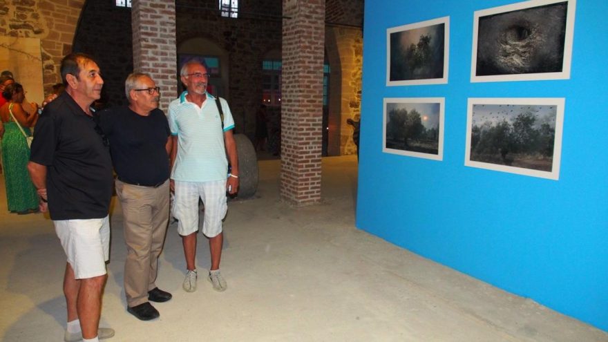 Ayvalık’ta zeytin ağacının önemi sanatla anlatıldı
