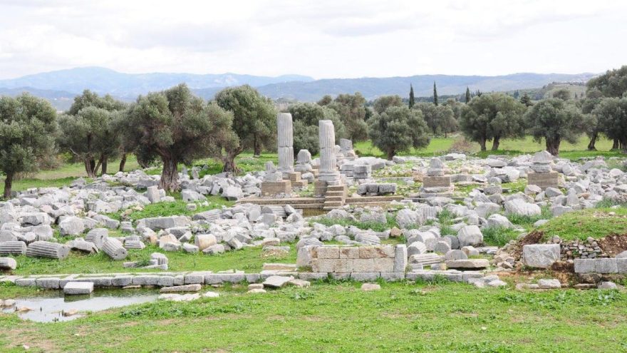 Dionysos Tapınağı, ayağa kaldırılacak