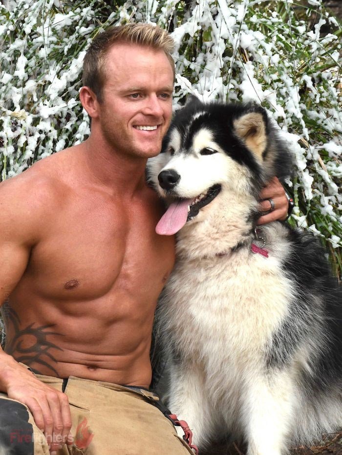 apartmanda köpek besleme kanunu 2019