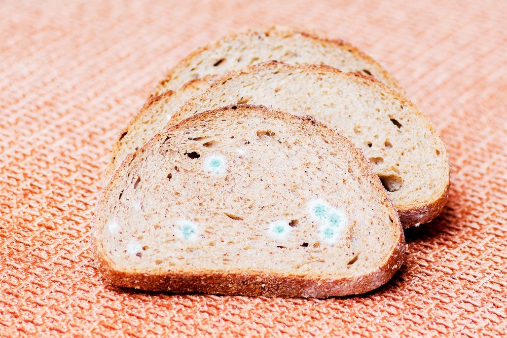 Küflü ekmek yemek tehlikeli mi? - Güncel yaşam haberleri – Sözcü