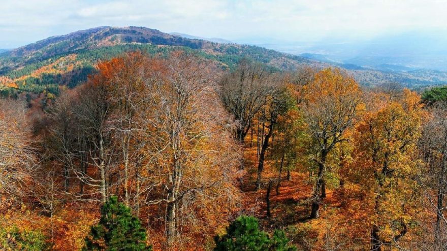 Kaz Dağları da santral kurbanı olacak