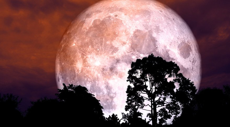 Dolunay zamanı Mars/Jüpiter/Ay arasında T-Kare dediğimiz aslında zorlu bir açı kalıbı oluşacak gökyüzünde ne yazık ki! İnançlar, felsefi konular üzerinde tartışmalar yapabilirsiniz. Spora başlamak, egzersizlere başlamak için idealdir.