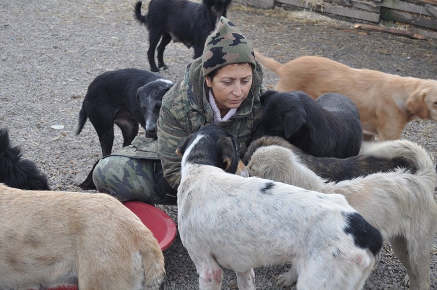 FOTO: AA- Bartın'da hayvansever Sevim Arkan yol hayvanlarına baz alinarak şiddete reaksiyon göstermek emeliyle dört gündür açlık grevi yapıyor