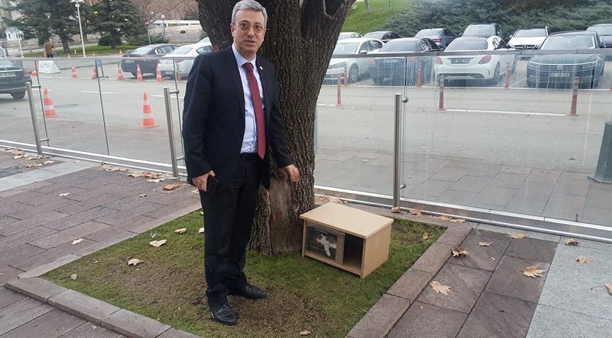 Kedi evleri Meclis’e geri döndü Son dakika haberleri