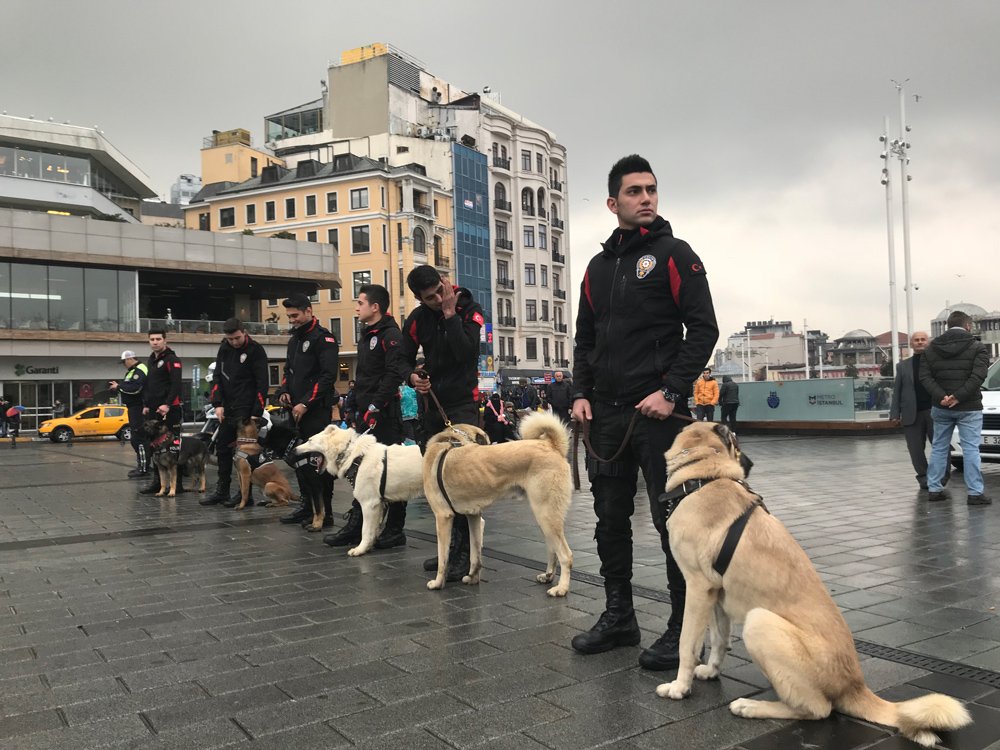 Tüm Evinizi Düzenleyecek 10 Kendin Yap Projeleri Tüm Evinizi Düzenleyecek 10 Kendin Yap Projeleri